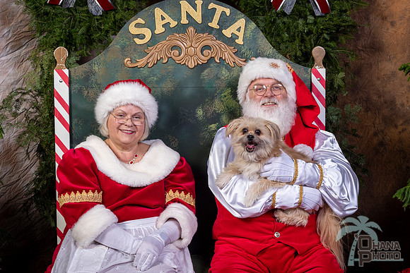 SantaPaws2022-541