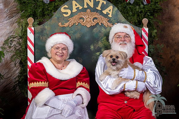 SantaPaws2022-542