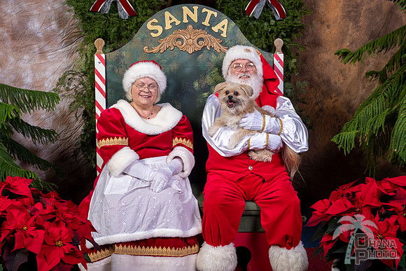 SantaPaws2022-539
