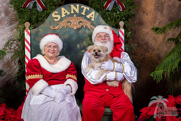 SantaPaws2022-540
