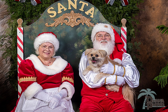 SantaPaws2022-543