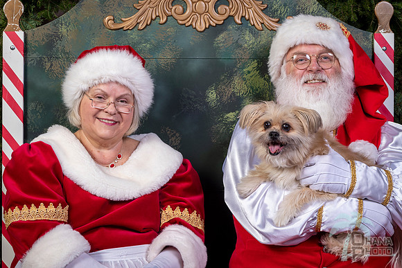 SantaPaws2022-546