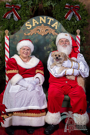 SantaPaws2022-545