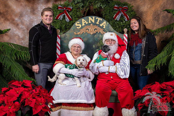 SantaPaws2022-535