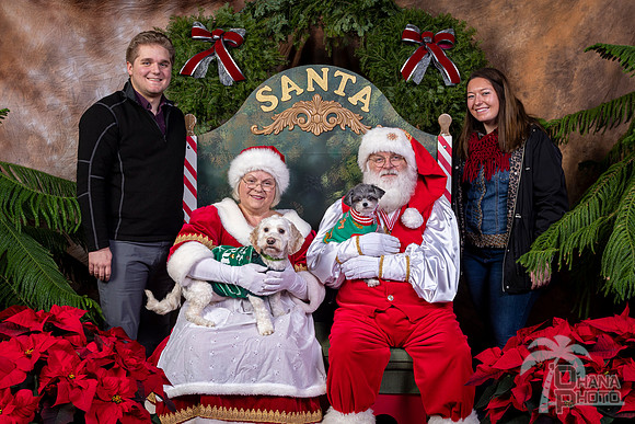 SantaPaws2022-536
