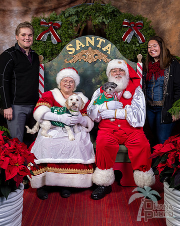 SantaPaws2022-538