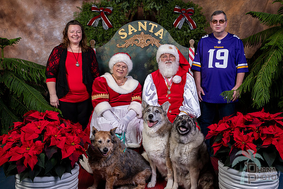 SantaPaws2022-551