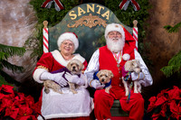SantaPaws2022-570