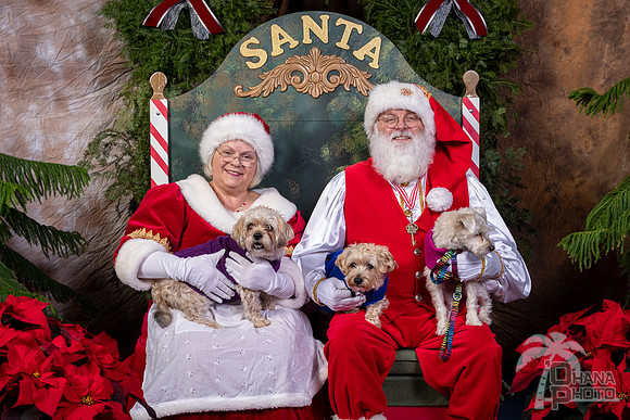 SantaPaws2022-570