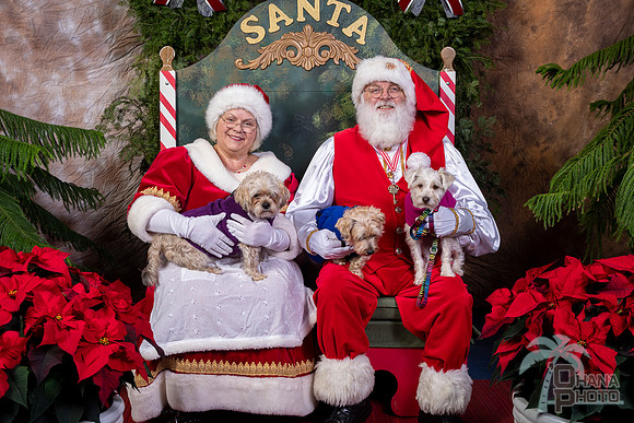 SantaPaws2022-569