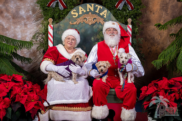 SantaPaws2022-567