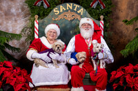 SantaPaws2022-571