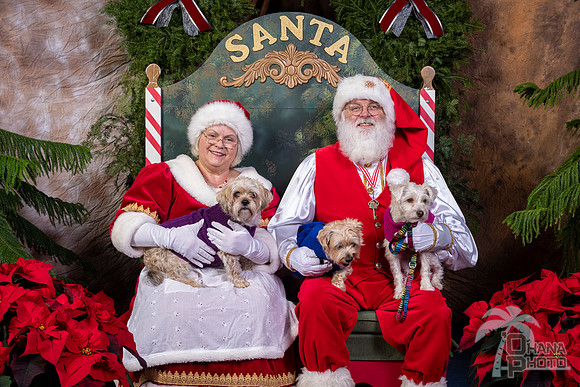 SantaPaws2022-571