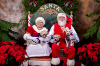 SantaPaws2022-568