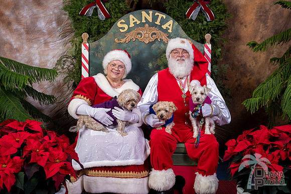 SantaPaws2022-568
