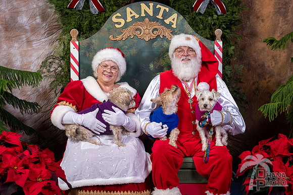 SantaPaws2022-572