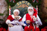 SantaPaws2022-573