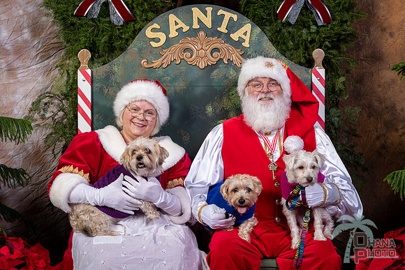 SantaPaws2022-573