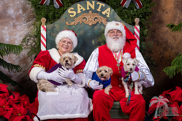 SantaPaws2022-574
