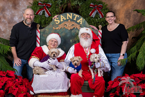 SantaPaws2022-575