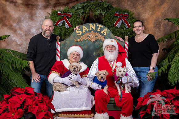 SantaPaws2022-578