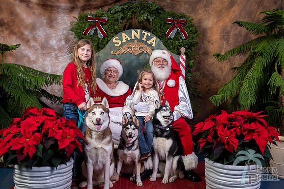 SantaPaws2022-556