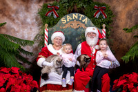 SantaPaws2022-602