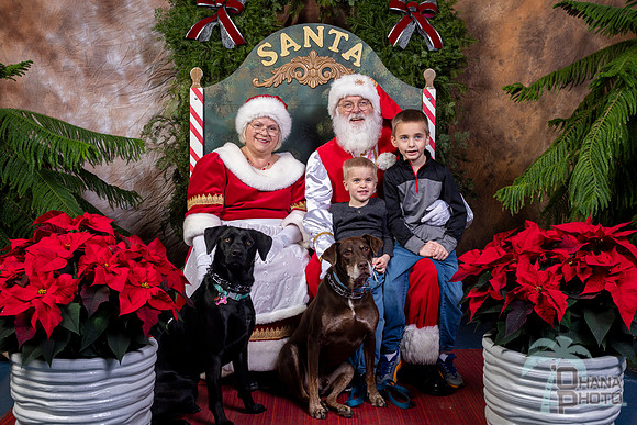 SantaPaws2022-504