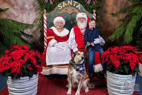 SantaPaws2022-637