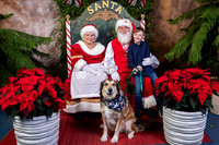 SantaPaws2022-635