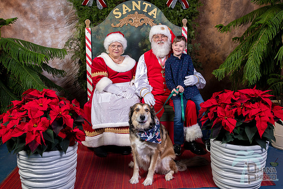 SantaPaws2022-635