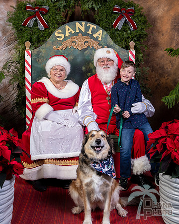 SantaPaws2022-639