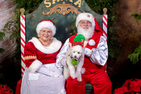 SantaPaws2022-626