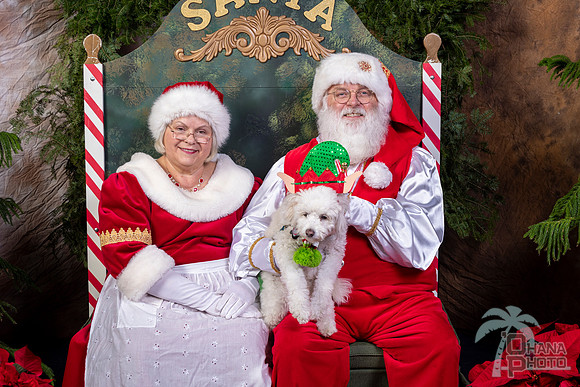 SantaPaws2022-626