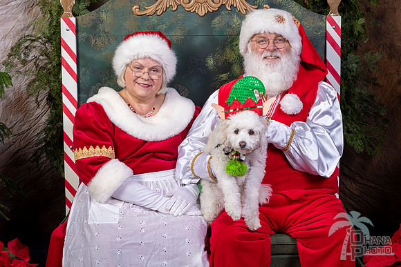 SantaPaws2022-627
