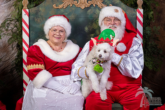 SantaPaws2022-624