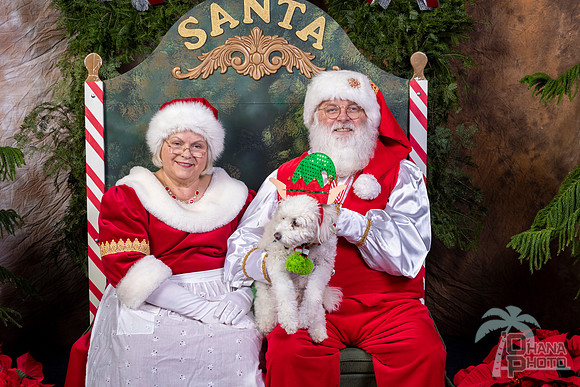 SantaPaws2022-625