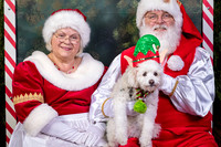 SantaPaws2022-632