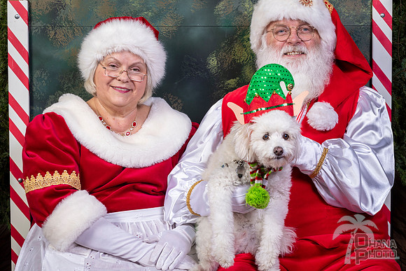 SantaPaws2022-632