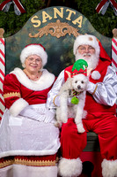 SantaPaws2022-633