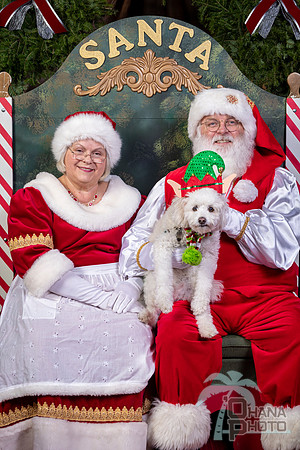 SantaPaws2022-633