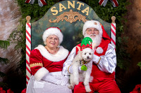 SantaPaws2022-629