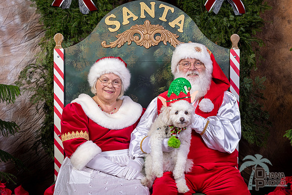 SantaPaws2022-629
