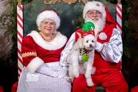 SantaPaws2022-631