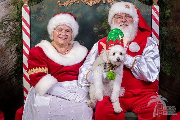 SantaPaws2022-631
