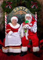 SantaPaws2022-634