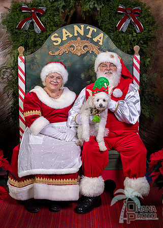SantaPaws2022-634