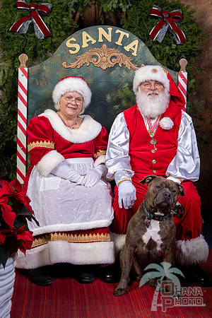 SantaPaws2022-644