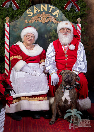 SantaPaws2022-643