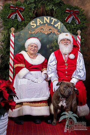SantaPaws2022-645